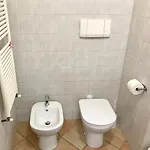 Il Ciottolo Appartement *